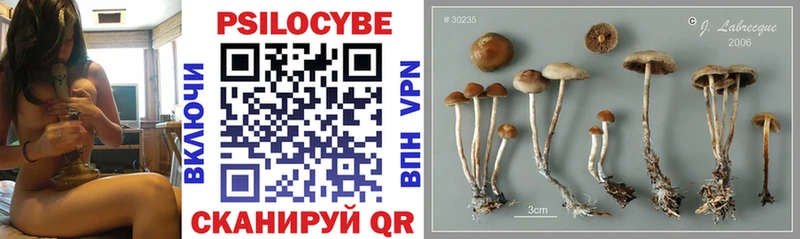 мега ТОР  Учалы  Галлюциногенные грибы Cubensis 