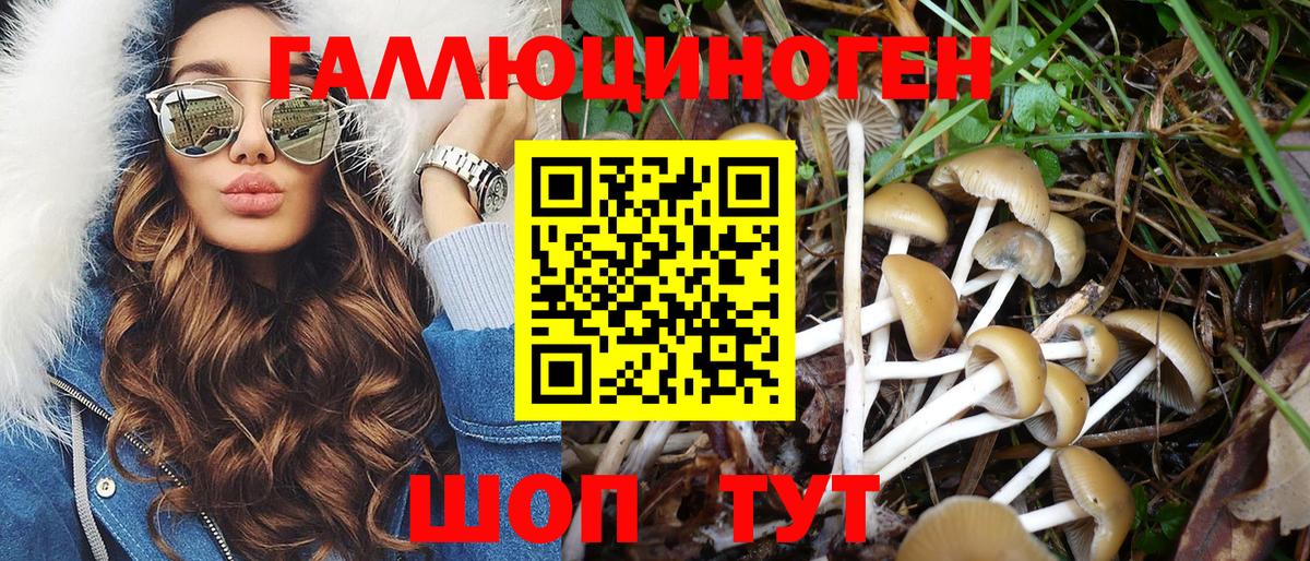 Псилоцибиновые грибы ЛСД  Вход с VPN  Учалы 