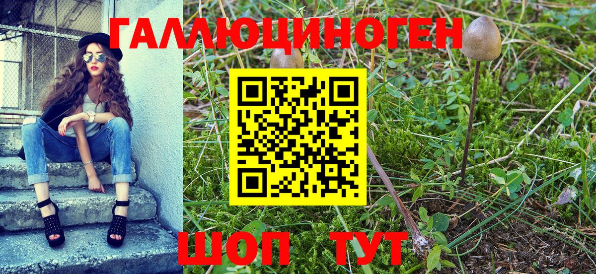 Псилоцибиновые грибы мицелий Учалы