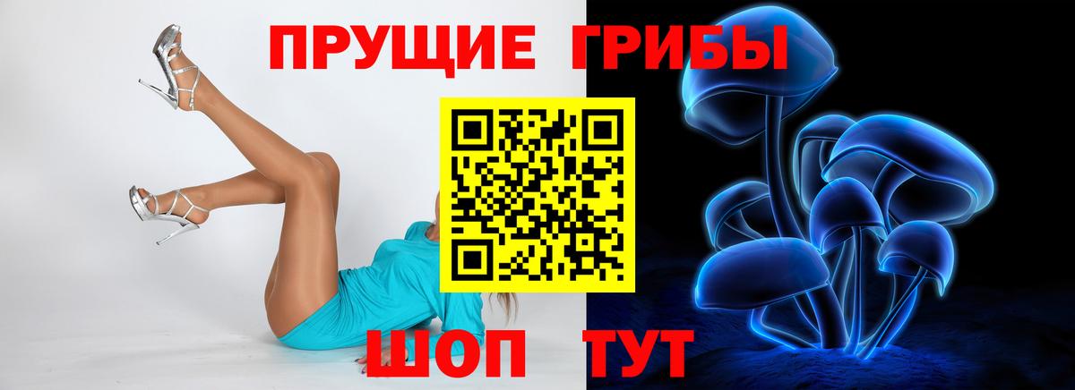 Галлюциногенные грибы Magic Shrooms  Учалы  Псилоцибиновые грибы прущие грибы 